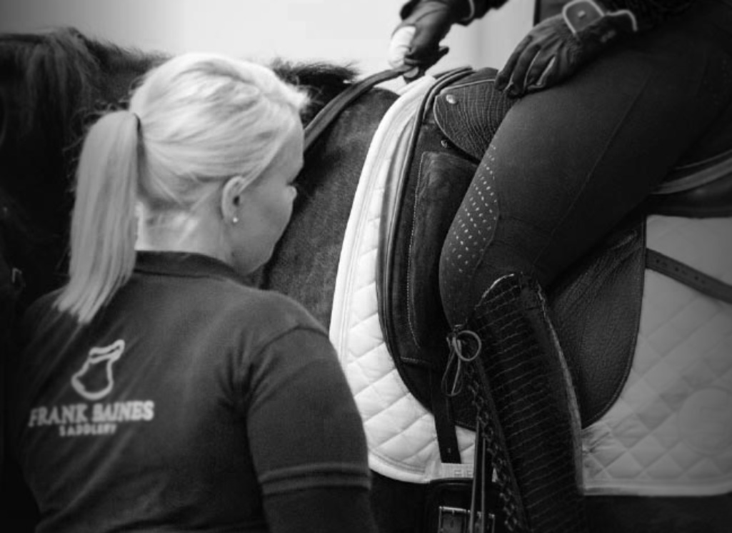 Our Story Dressage Saddle. Show Jumping Saddle Eventing Saddle Stockist Saddle Fitter 