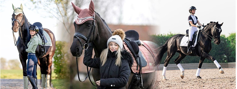 Elise Broche - Brown Hand Made Bespoke Leather Dressage Jumping Eventing Horse Saddle